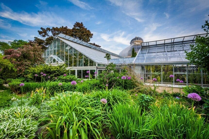 Allan Gardens