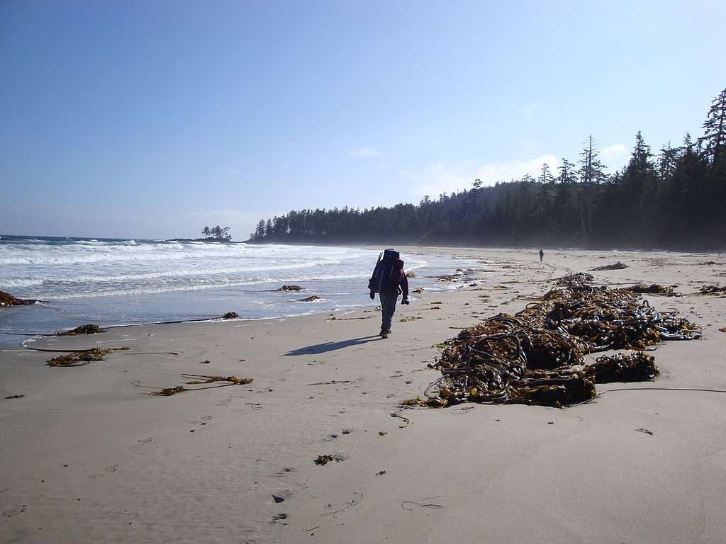 Adventurous Realm: 7 Best Campgrounds Vancouver Island 4 Adventurous Realm: 7 Best Campgrounds Vancouver Island 2