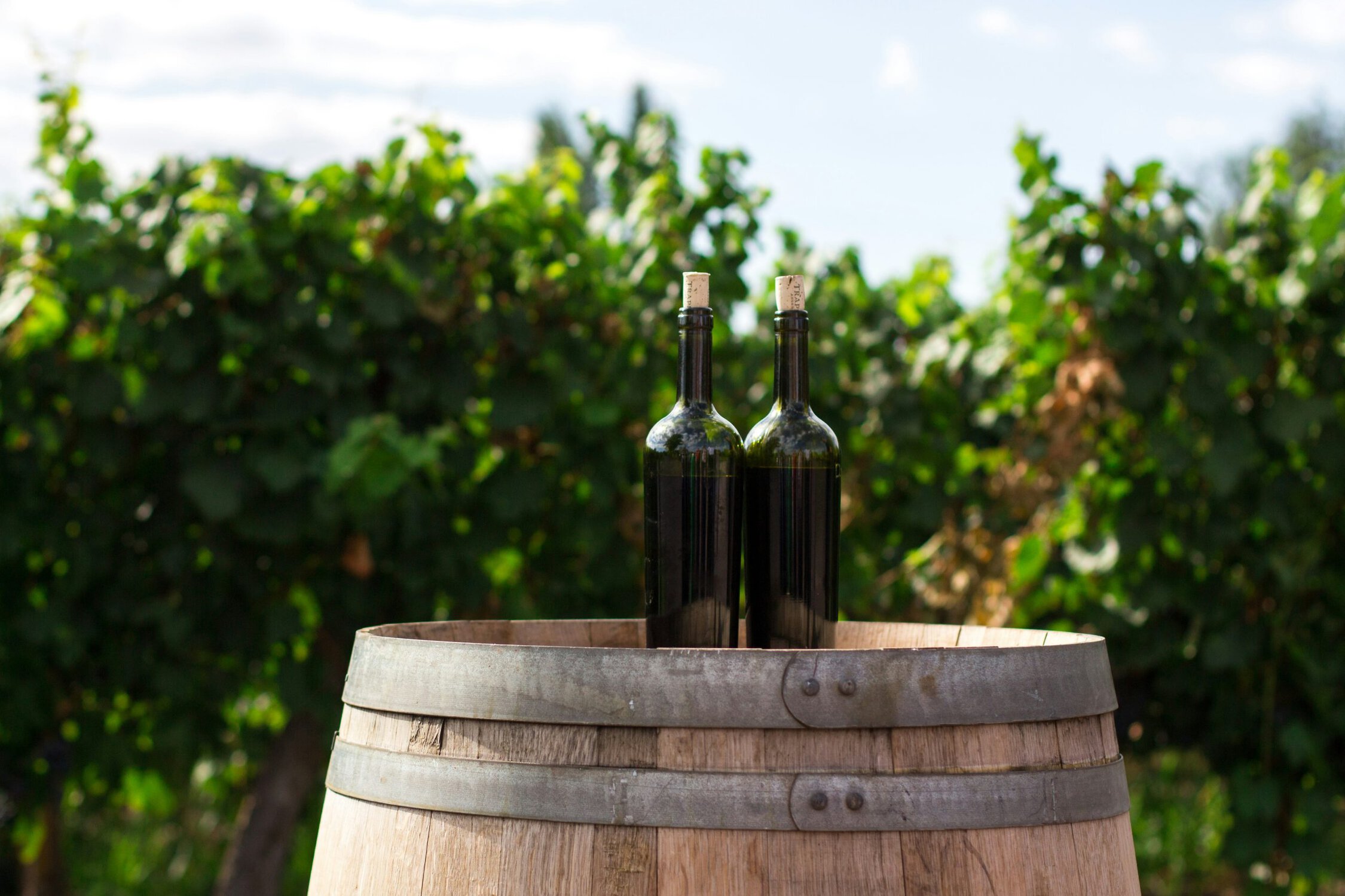 Wine Clubs Canada