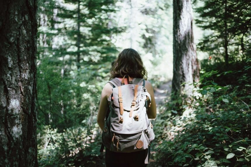 Whistler Hikes