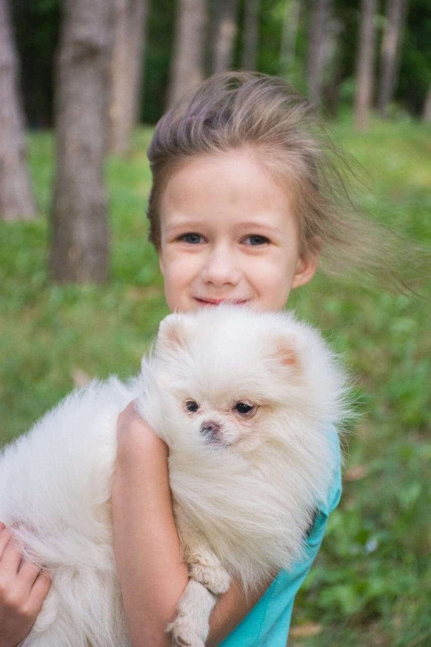 Dog Adoption Edmonton