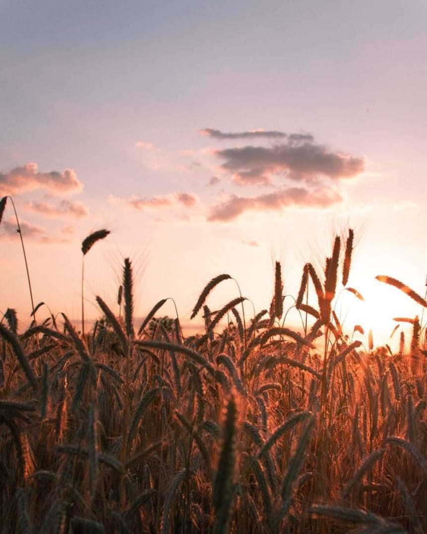 farming in canada