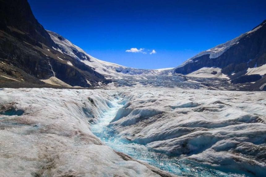 icefields tour