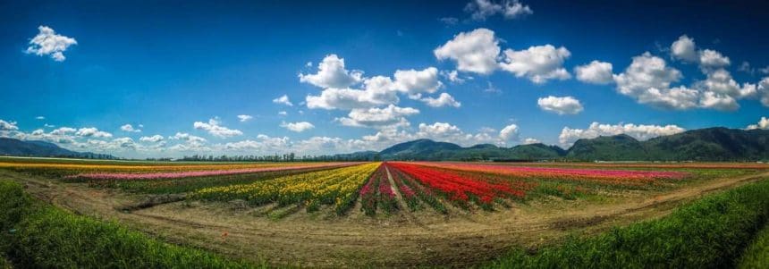 spring season