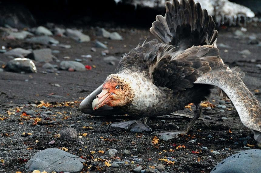 Canada's Environment