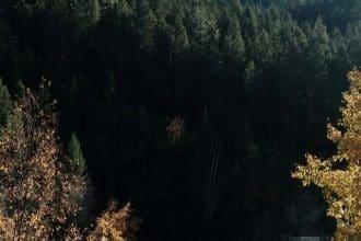 harrison hot springs