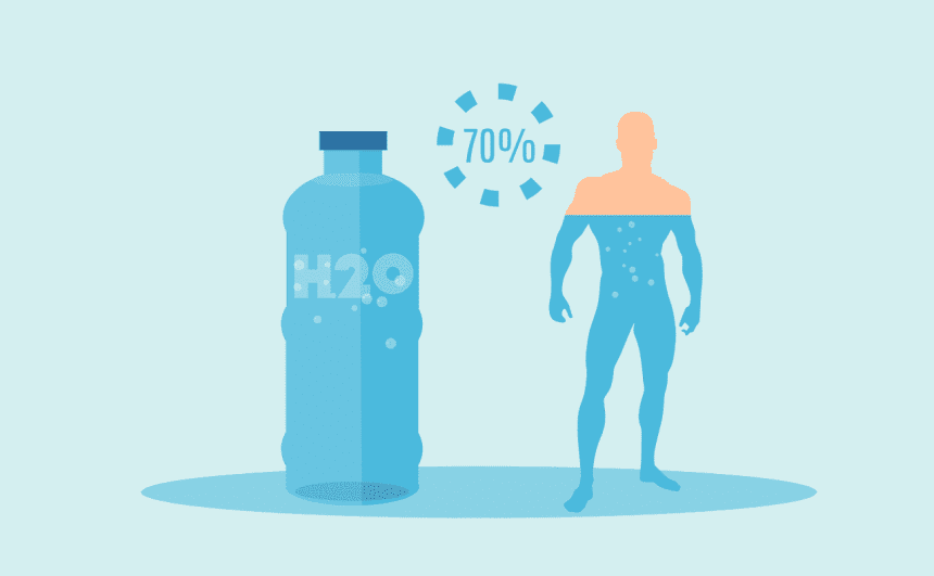 what percentage of human body is water