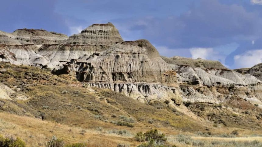 dinosaur provincial park