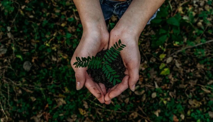 Eco-friendly clothing Canada