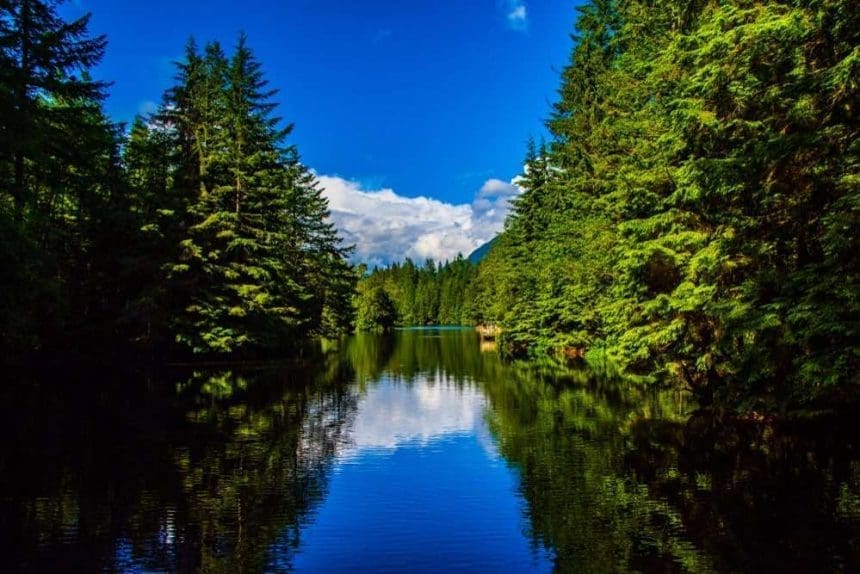 rice lake