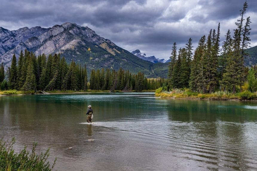 Fitzroy Provincial Park