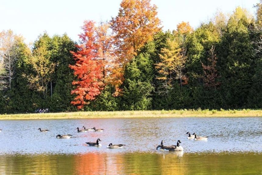 Bolton Ontario