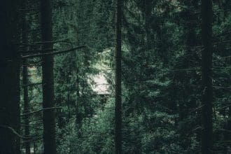 Lake Provincial Park