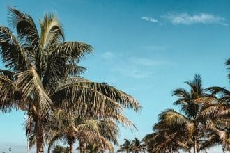 Islands of the Caribbean