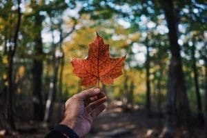Things to do in paris Ontario