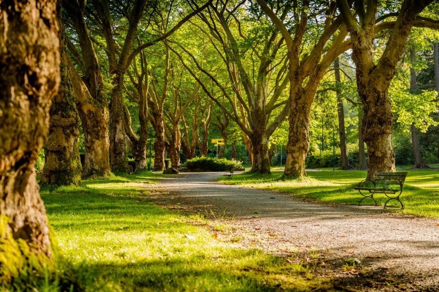 Vancouver's Stanley Park