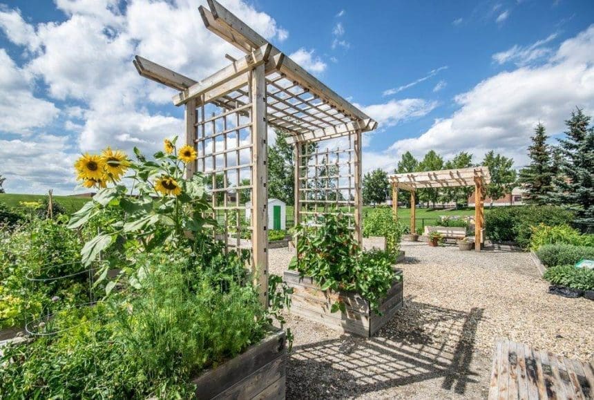 calgary gardens