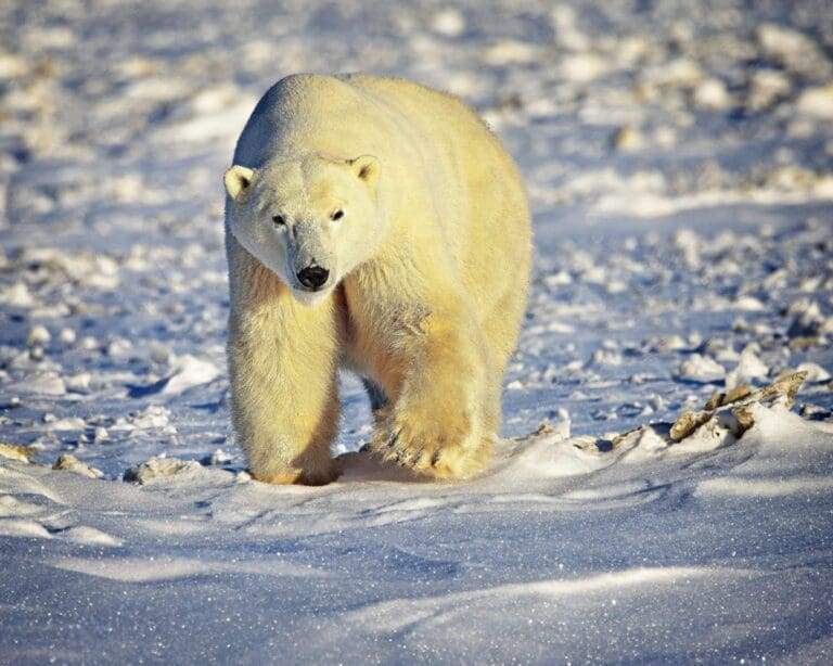 「Interesting」に関連した英語例文の一覧と使い方 - Weblio英語例文検索 visual data 6