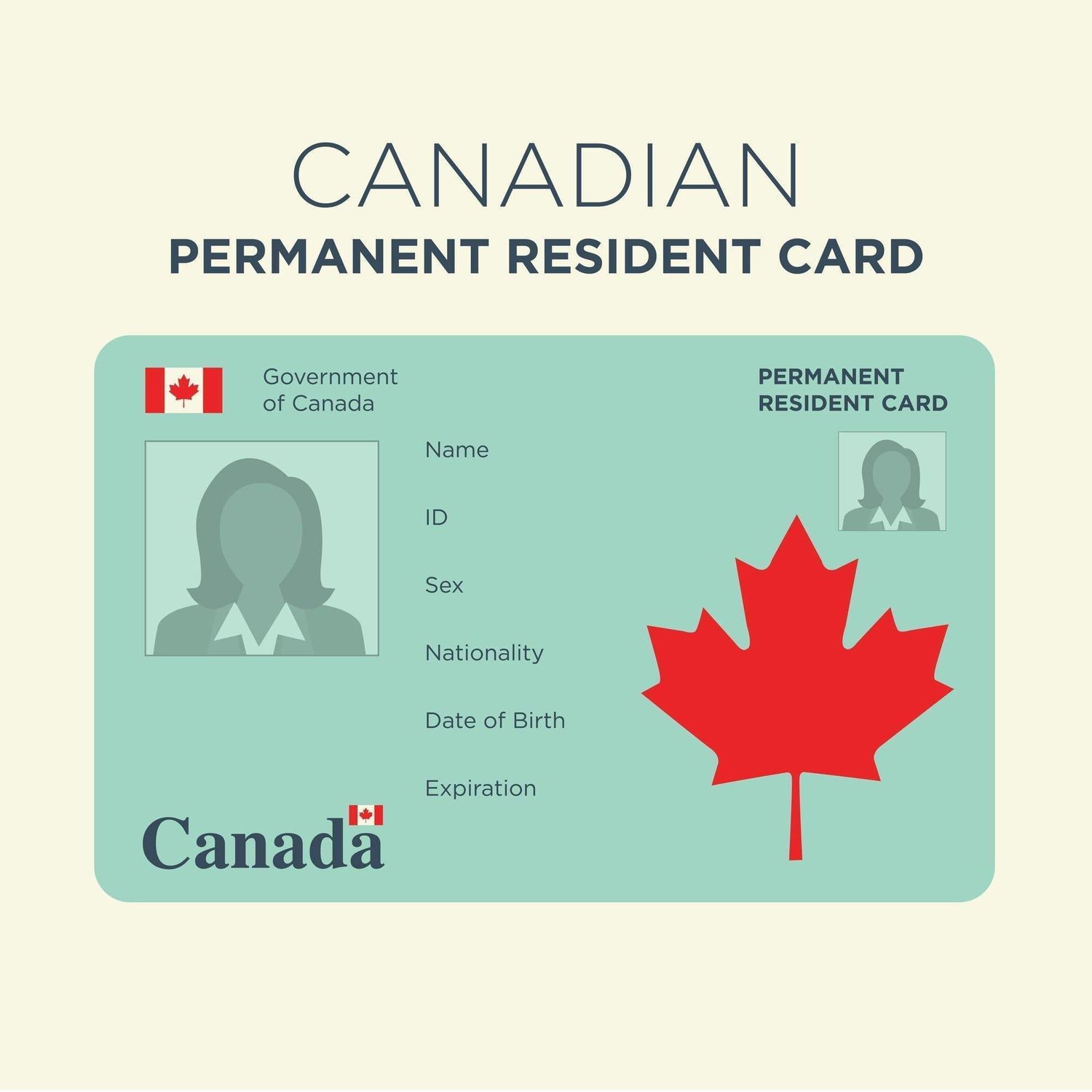 Canada Permanent Resident Card Renewal In 9 Steps