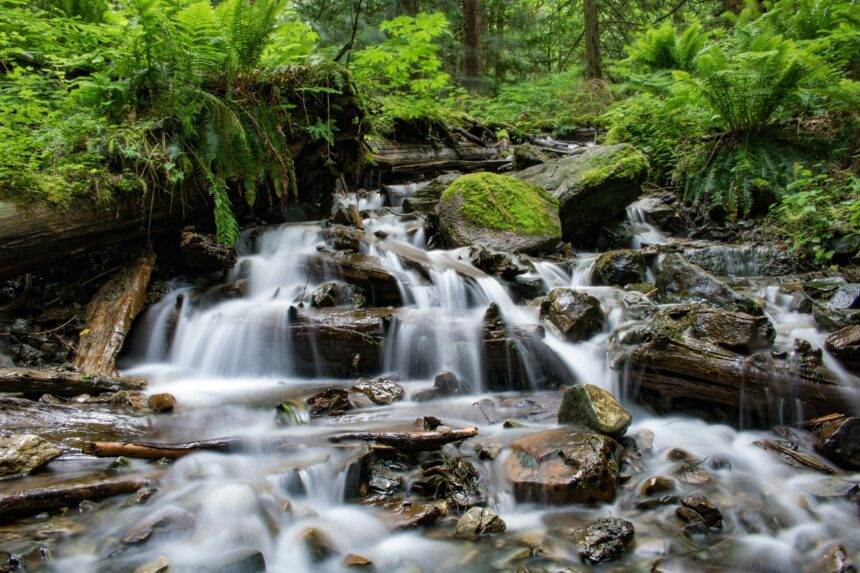 moses falls