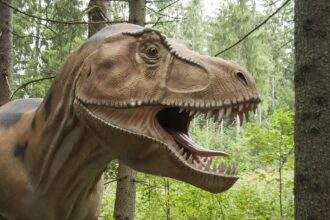 A close-up of a dummy dinosaur opening its jaw.