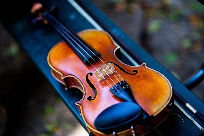 A close-up of a small violin with a blurred background.