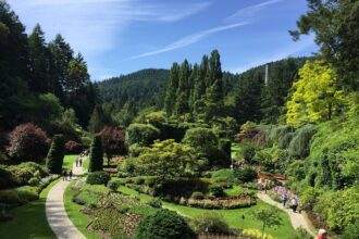 A view of green bushes and trees in the Butchart Garden in Canada.