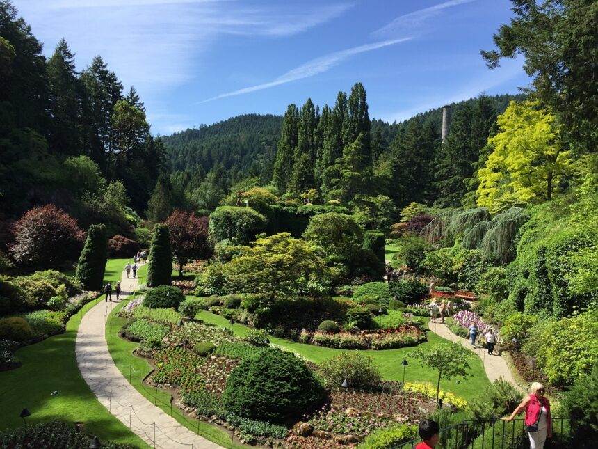 A view of green bushes and trees in the Butchart Garden in Canada.