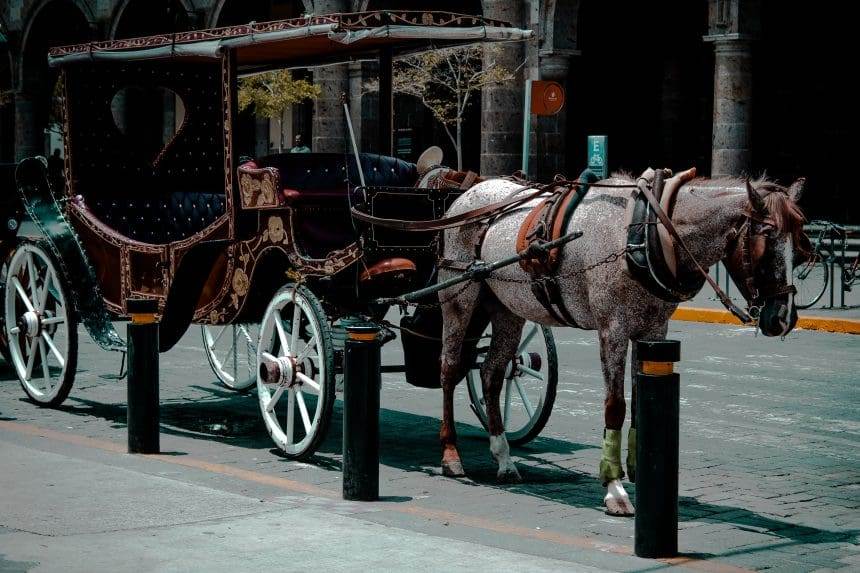 A brown horse carriage with a greyish-white horse.
